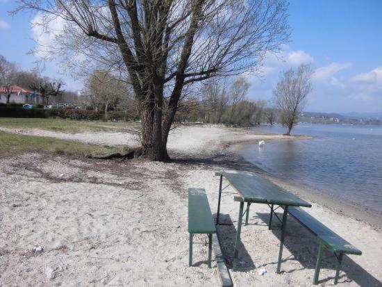 Lake Maggiore 2 Minutes Apartment Dormelletto Esterno foto