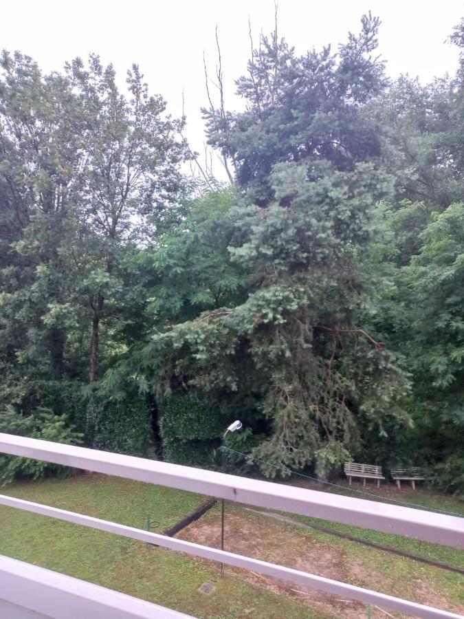 Lake Maggiore 2 Minutes Apartment Dormelletto Esterno foto