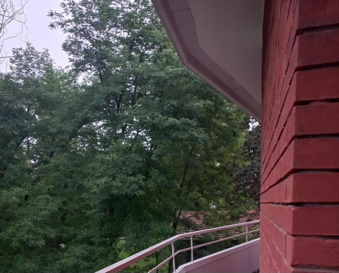 Lake Maggiore 2 Minutes Apartment Dormelletto Esterno foto